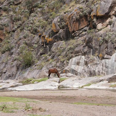 Altos Del Valle San Agustín de Valle Fértil Dış mekan fotoğraf