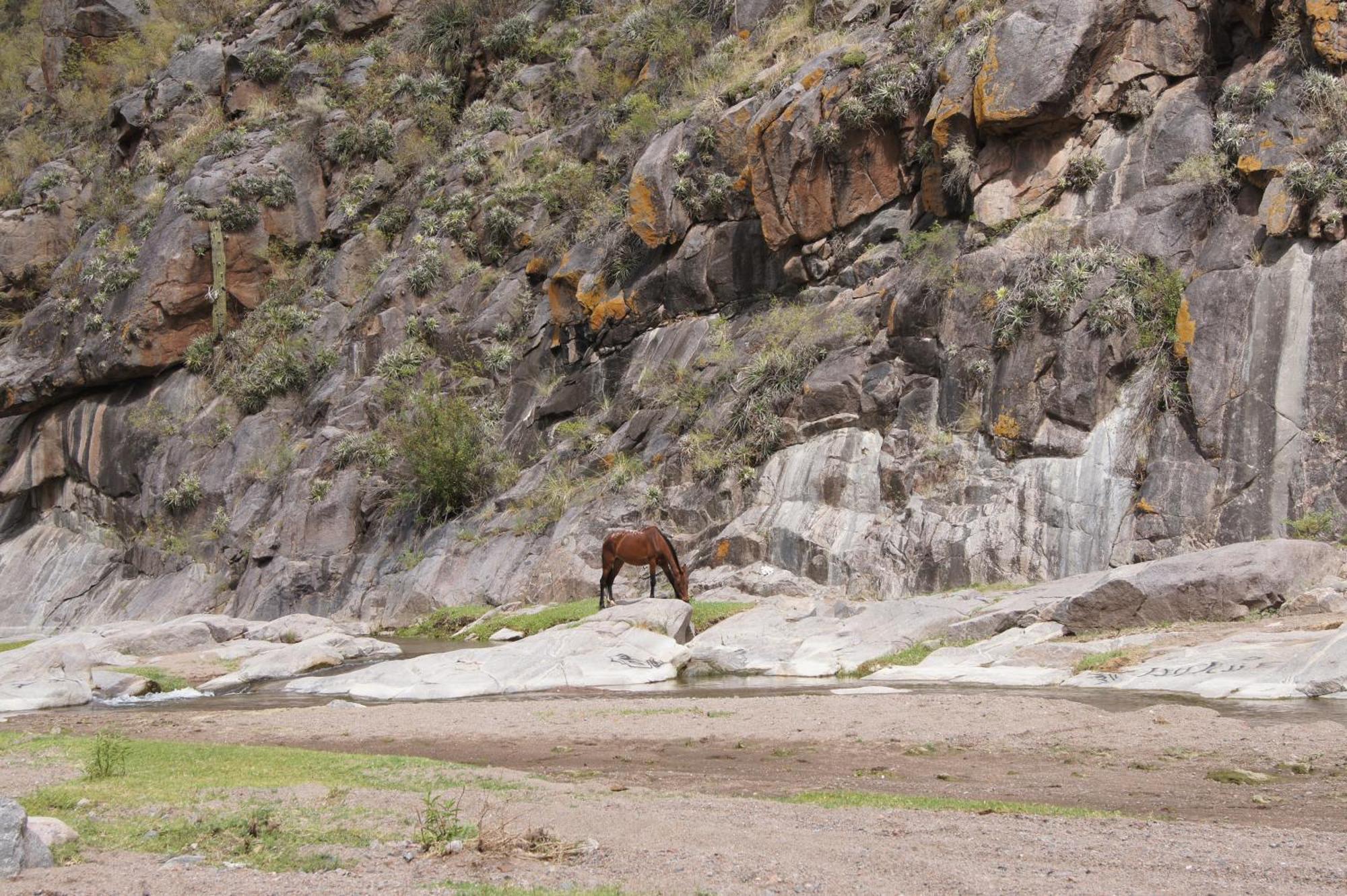Altos Del Valle San Agustín de Valle Fértil Dış mekan fotoğraf